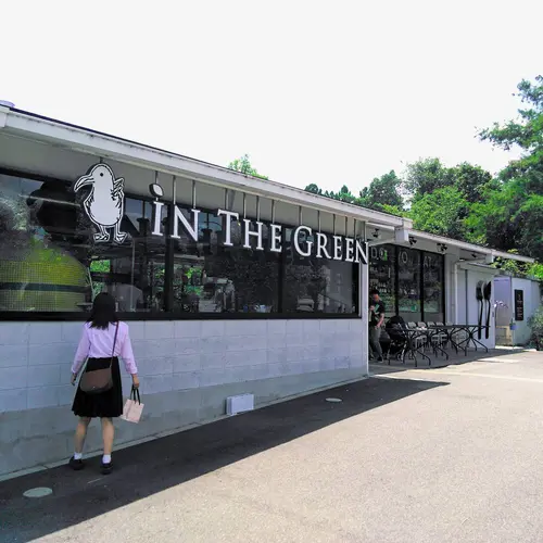 IN THE GREEN