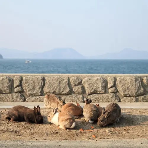 大久野島