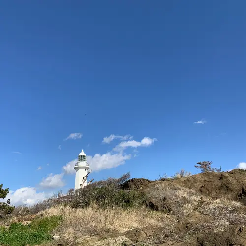 野島崎