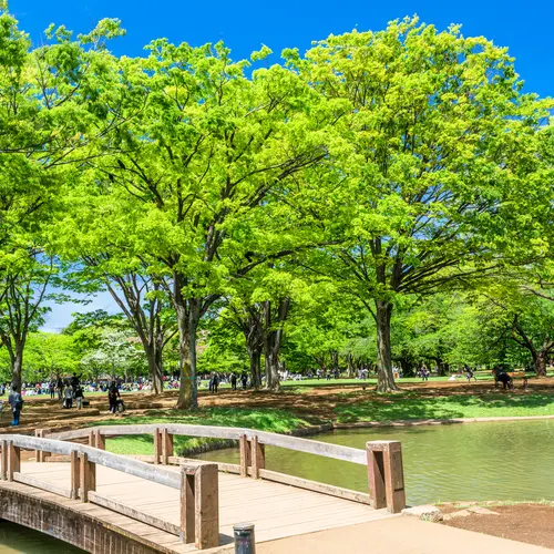 代々木公園