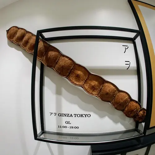 【閉業】アヲ GINZA TOKYO