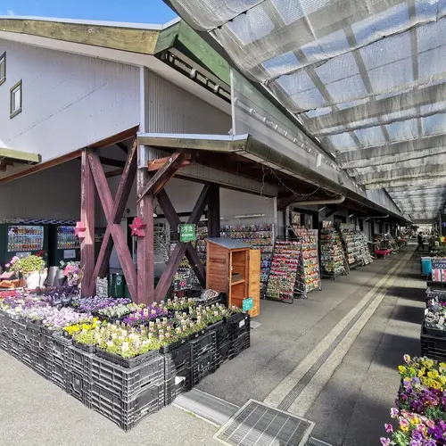 なばなの里花市場