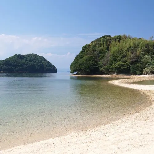 真宮島