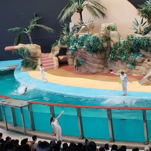 イルカふれあいプール