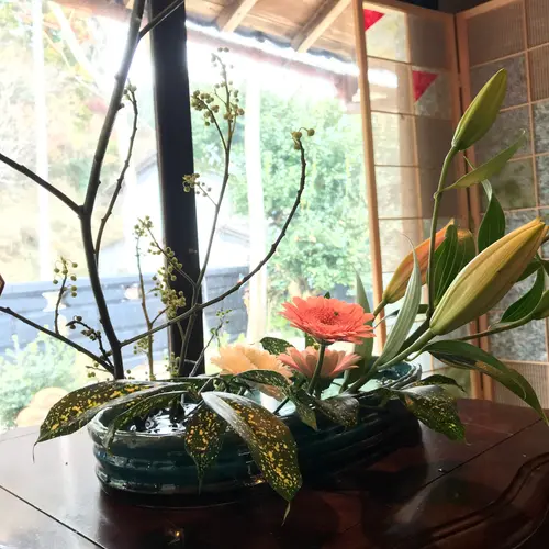 発酵カフェ小春日和