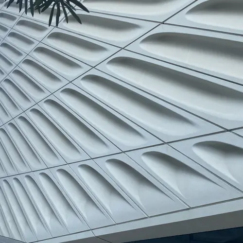 The Broad