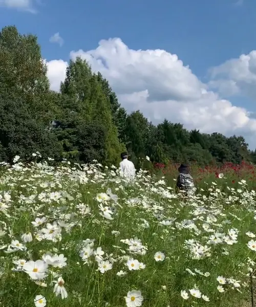 【広島県】三次・庄原いいとこ取り！弾丸日帰り旅🚙