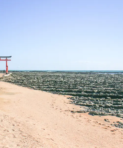日帰り⛩宮崎ドライブ