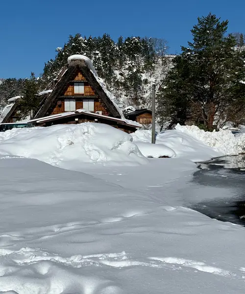 マイカーで行く三河・郡上八幡・白川郷の旅(一部バスツアー)