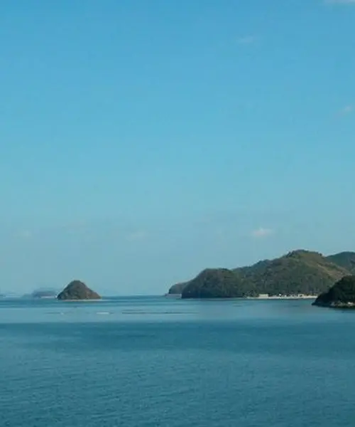 島で遊ぶ一日