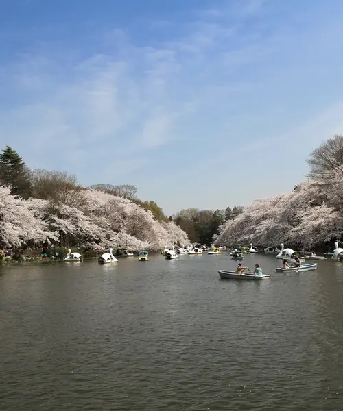 井の頭公園