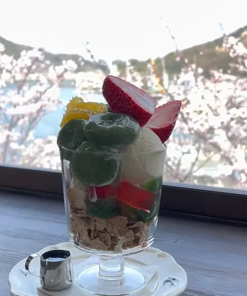 【広島県】春の尾道を散歩しながら桜スポット巡り🌸絶景とグルメを満喫する1日✨
