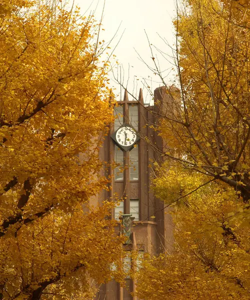 歴史、建築好きは必見の東京大学本郷キャンパス。近くにはおいしいものもたくさんあります！