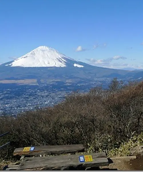 恒例の金時山&強羅