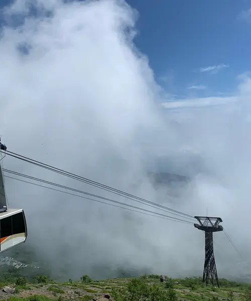 【栃木県】トリックアートやSUP体験！那須で遊びつくすドライブ旅🚘⭐️😽