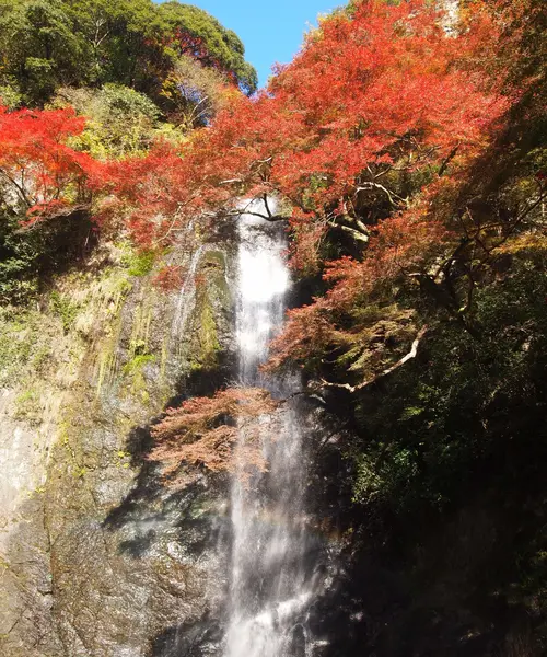 大阪 箕面市へ 紅葉を見に行こう！！