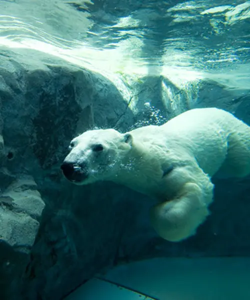 家族で楽しめる北海道特集☆