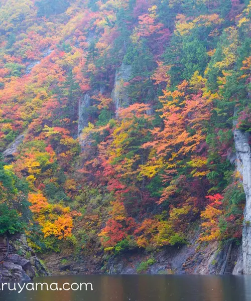 カヌーで水上から紅葉を楽しむ！／ならまた湖・群馬