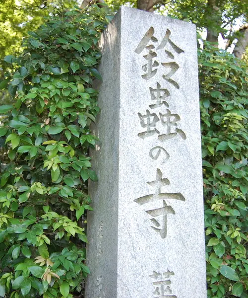 紅葉の名所・嵐山観光＆願いごとが叶うと有名な鈴虫寺へ。