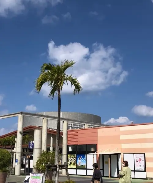 【沖縄】レンタカーを使わずに行ける那覇の人気スポット🛍️♪🦖