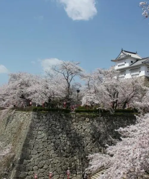 【岡山県】観光列車「SAKU美SAKU楽」に乗って津山を観光🌸