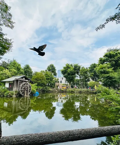 【渋谷】駅周辺の公園マップ🛝穴場/休憩スポット/子どもの遊び場