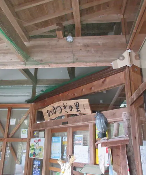 ひょっこり　あらぎ島が出現