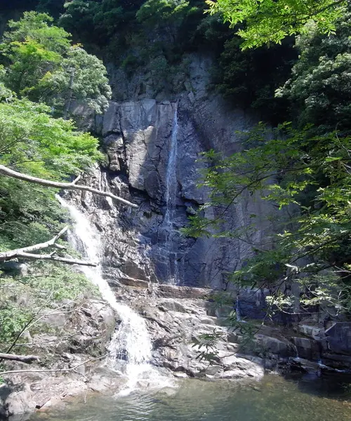 日野🌲御嶽渓谷🏞都内のドライブ🚘