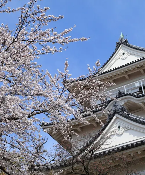 家族とおでかけ。春の散策城下町小田原。