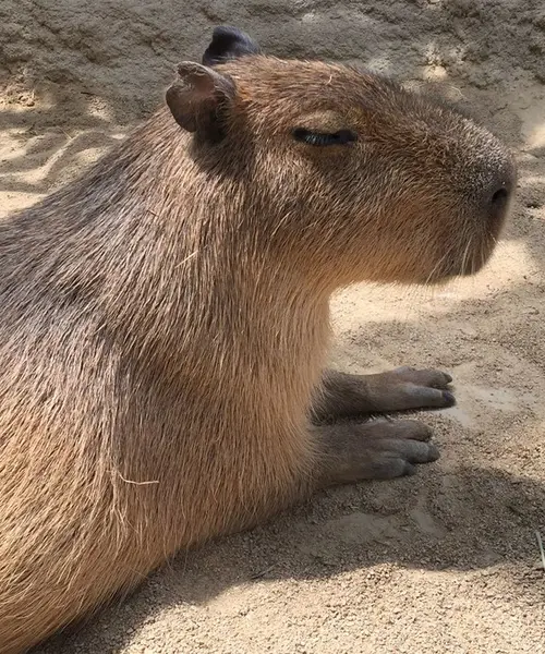 神戸の街中で、のんびりユル旅♨️