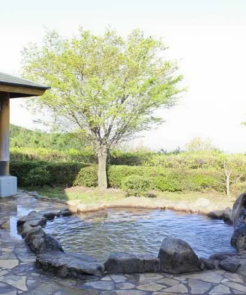 人より牛が多い大自然、菊池を家族で満喫♪