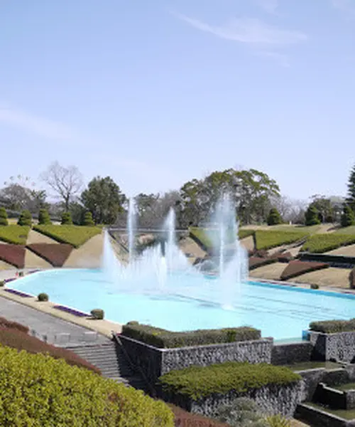 花咲かタイムズ【静岡・浜松】