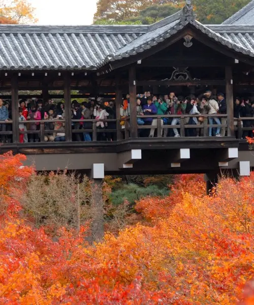 JR線だけで京都の紅葉を巡る 東福寺から泉涌寺七福神まで
