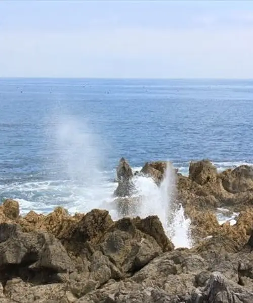 【気仙沼】観光パンフレットでは紹介されない気仙沼を巡る(入門編)