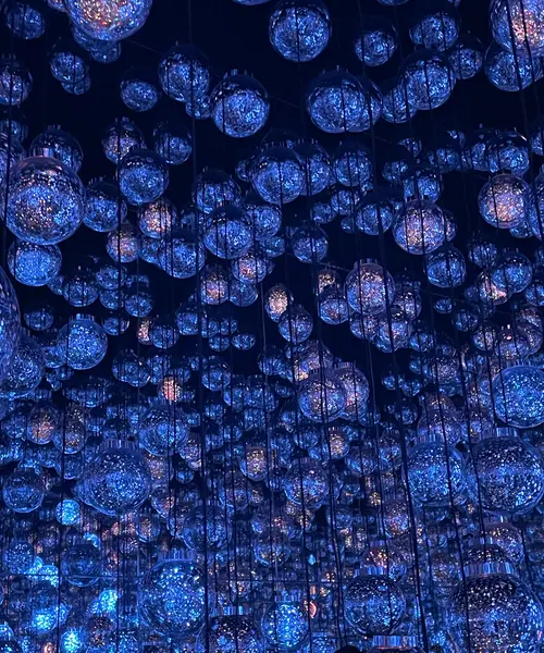 【東京 麻布台】teamLab⭐︎ Borderless 秋の遠足🎶