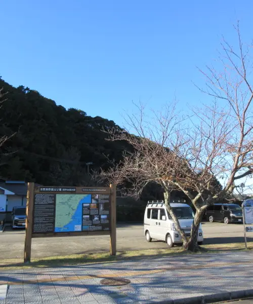 クジラみたことある？クジラってどんな生き物？