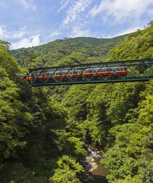 箱根日帰りひとり旅🚃🚠🚌