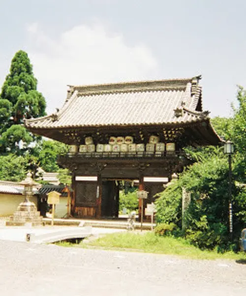 京都　ぬこの旅