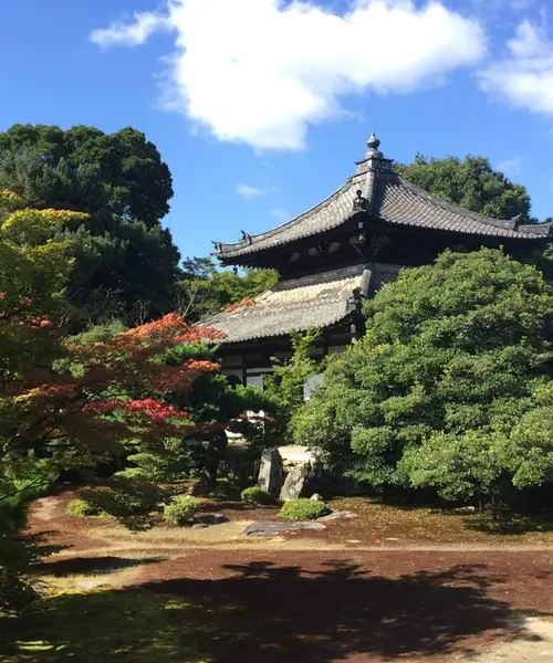 夏の京都・宿坊ステイで心を整える1泊2日