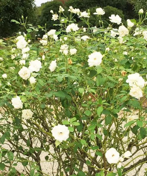 デートにいかがですか😊