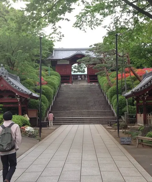 護国寺から神楽坂までお散歩