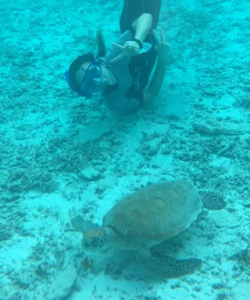 日帰り沖縄 離島  国立公園慶良間諸島 座間味島 むりやり息抜き 海亀と温泉の旅