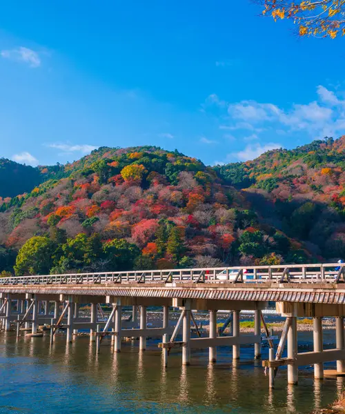 ☘一日京都観光☘嵐山･岡崎
