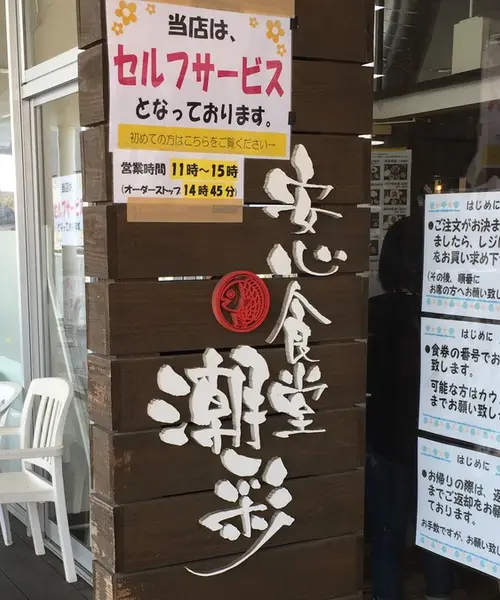 海鮮昼食と向島の寒桜