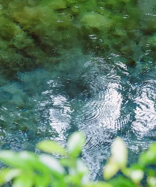 生まれたての水がキラキラ☆ 南阿蘇村の小さな旅