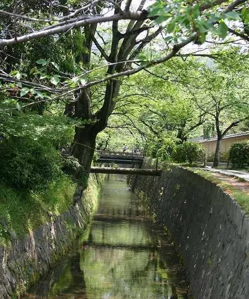 哲学の道散歩とカフェ
