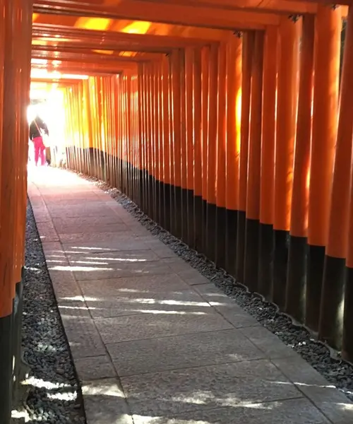 心が洗われる京都旅