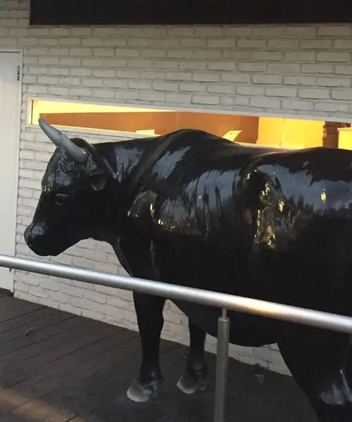 おいしくて☺︎ お財布にやさしい焼肉屋さん【随時更新】
