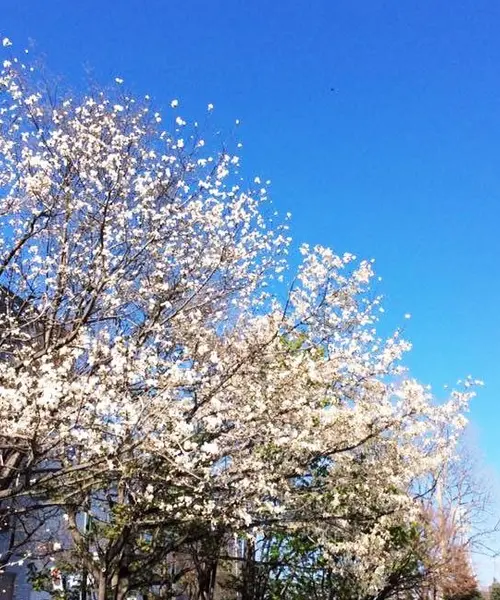 大通公園から、資料館巡り。