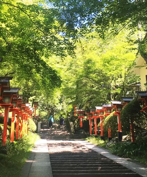 紫陽花を楽しむ！6月京都のたび